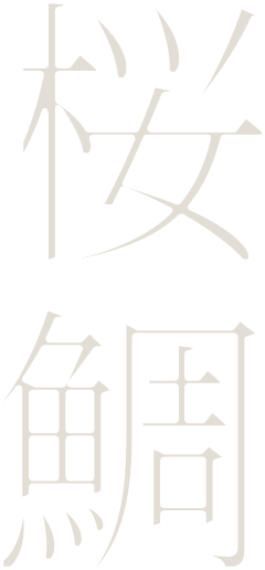 桜鯛